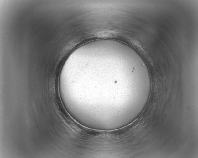 X0000056000299200509162325