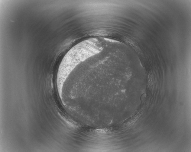 X0000056000302200509162325