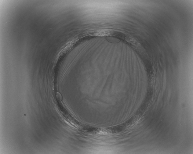 X0000056000303200509162325