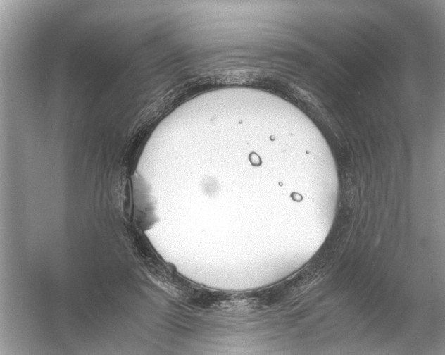 X0000056000307200509162325