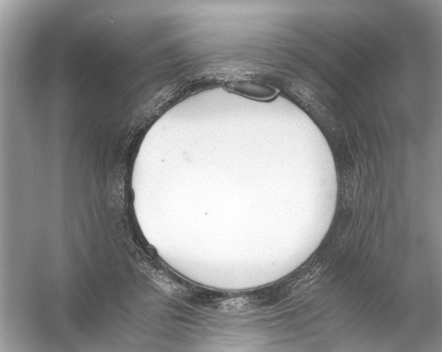 X0000056000309200509162325