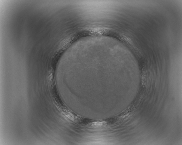 X0000056000314200509162325