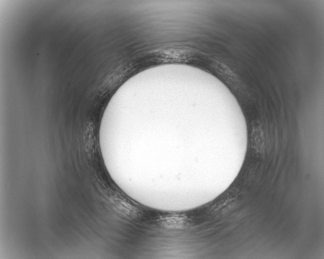 X0000056000318200509162324