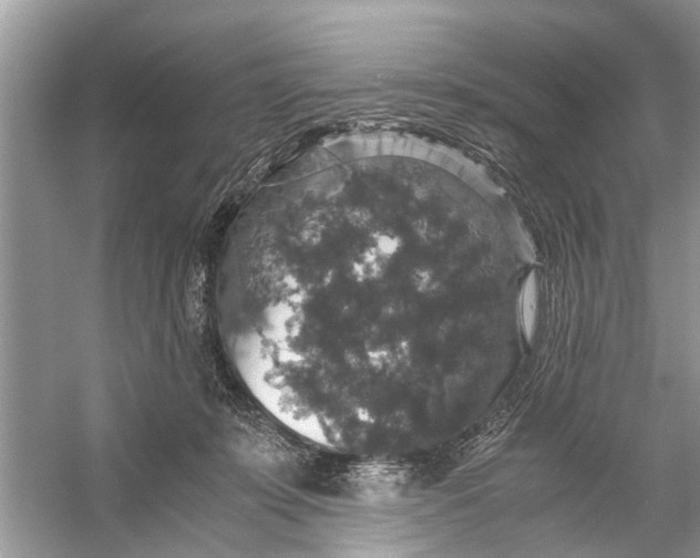 X0000056000319200509162324