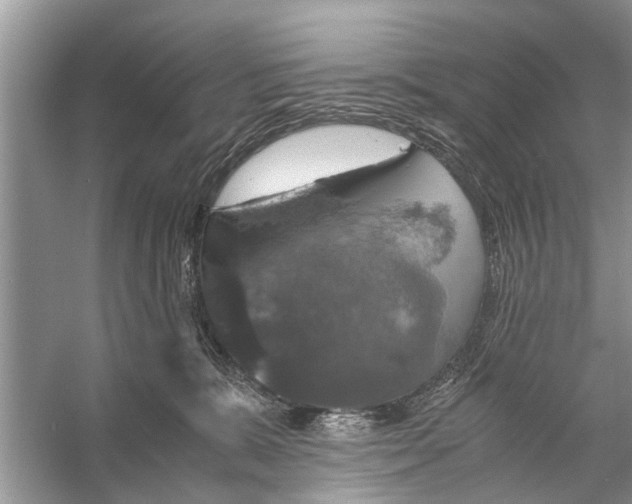 X0000056000327200509162324