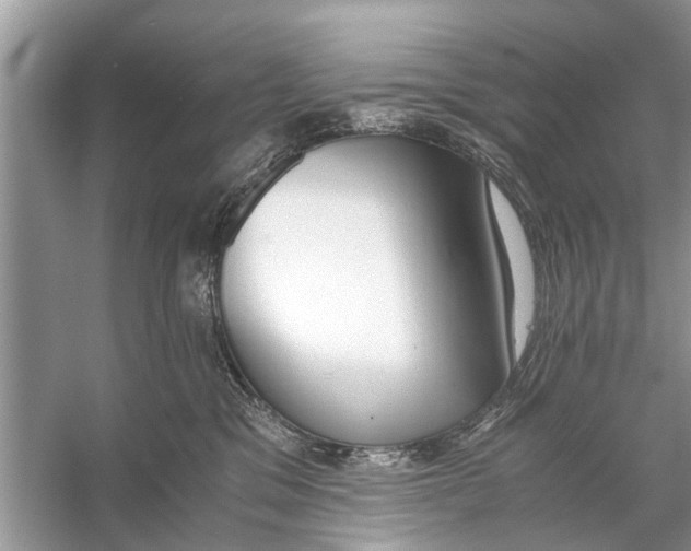 X0000056000329200509162324