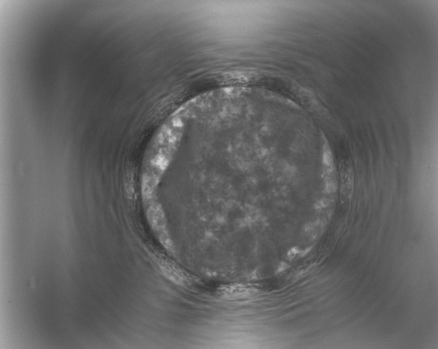 X0000056000331200509162324