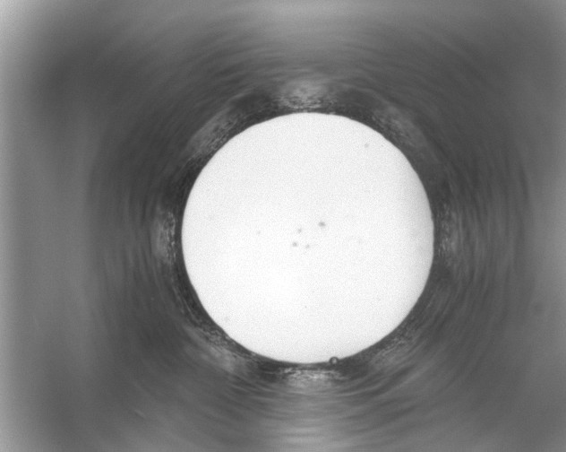 X0000056000332200509162324