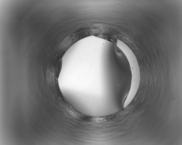 X0000056000333200509162324