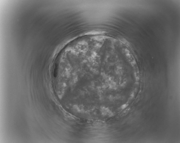 X0000056000337200509162323