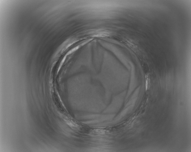 X0000056000339200509162323