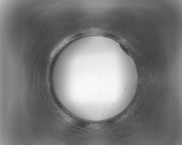 X0000056000341200509162323