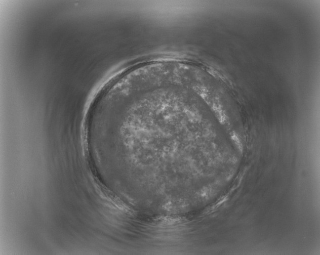 X0000056000343200509162323