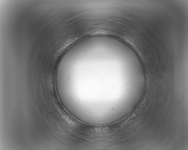 X0000056000345200509162323