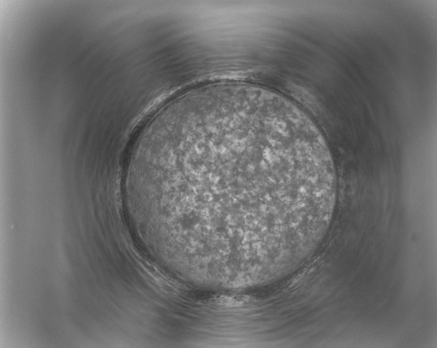 X0000056000346200509162323