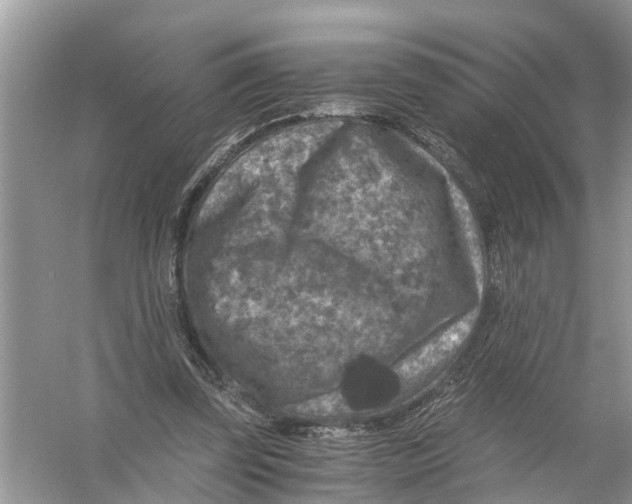 X0000056000347200509162324