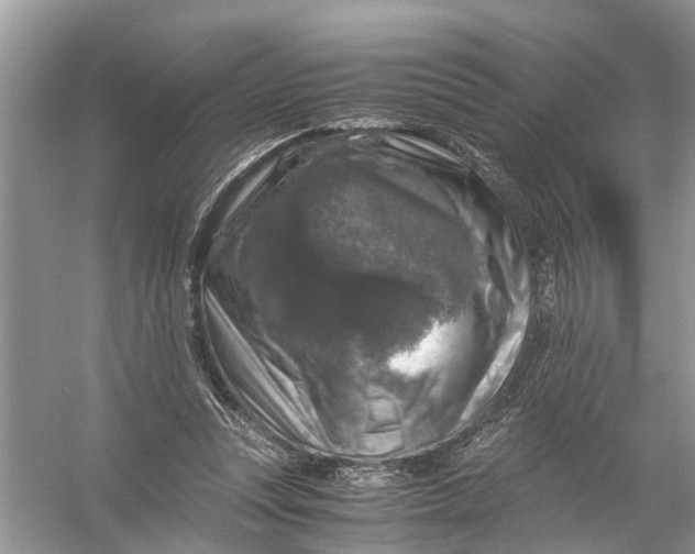 X0000056000351200509162324