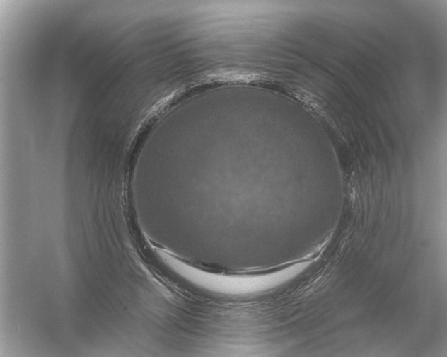 X0000056000352200509162324