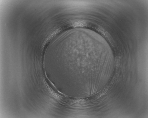 X0000056000353200509162324