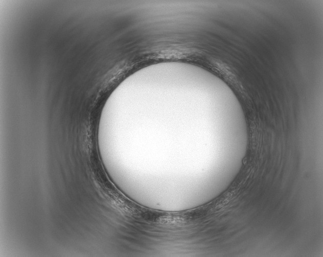 X0000056000354200509162324