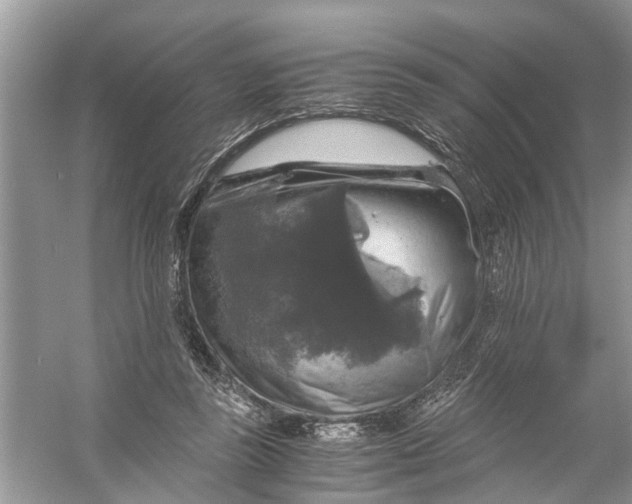 X0000056000355200509162324