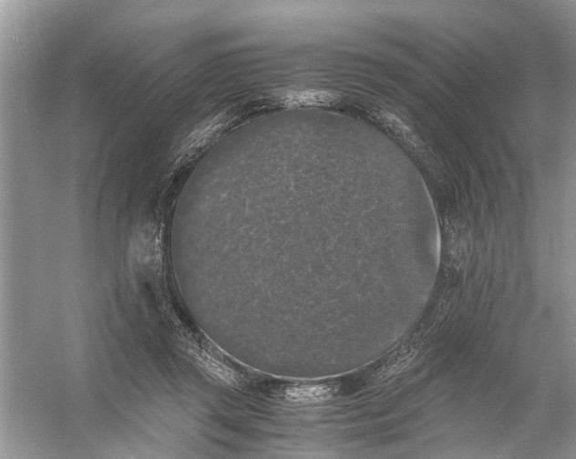 X0000056000357200509162324