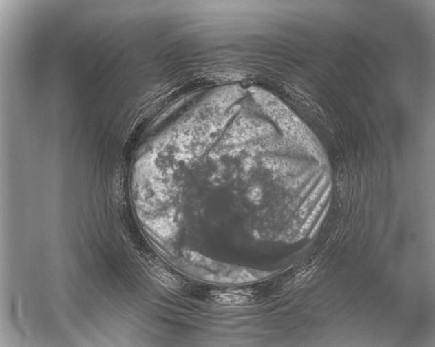 X0000056000359200509162324