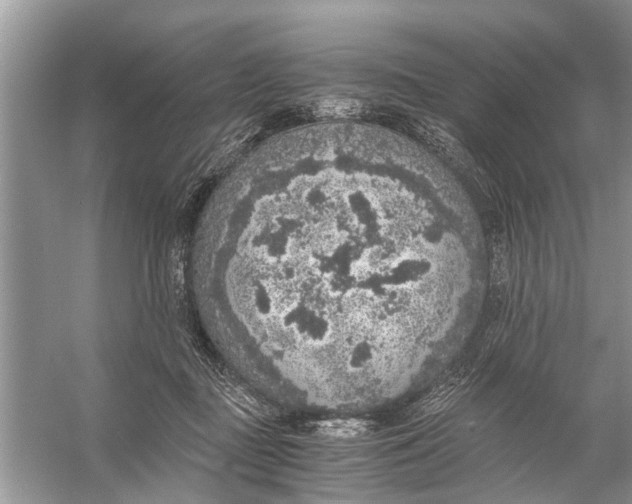 X0000056000363200509162324