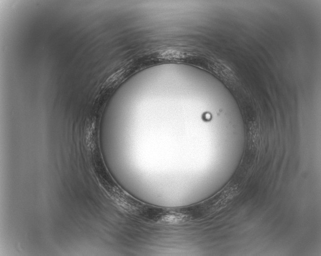 X0000056000364200509162324