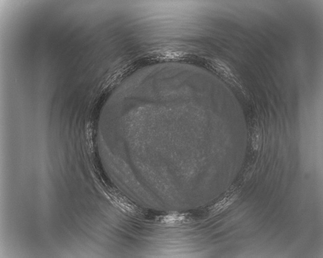 X0000056000366200509162324