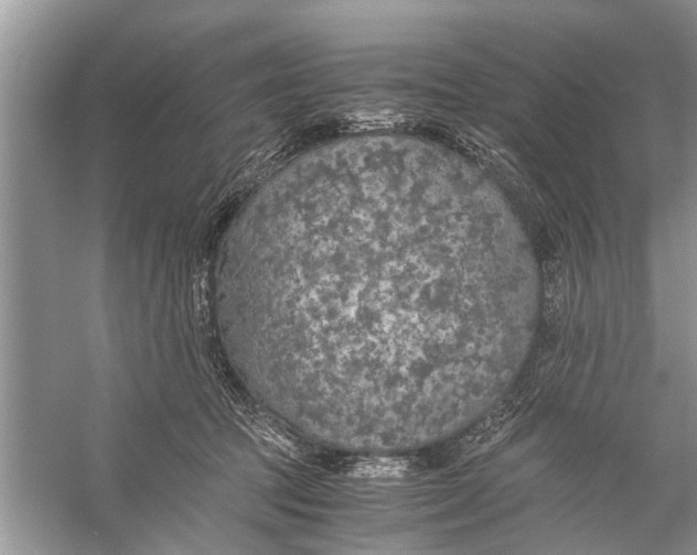 X0000056000369200509162324