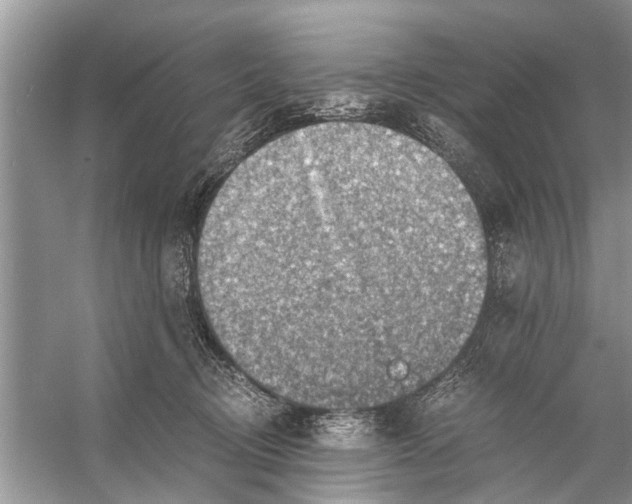 X0000056000370200509162324