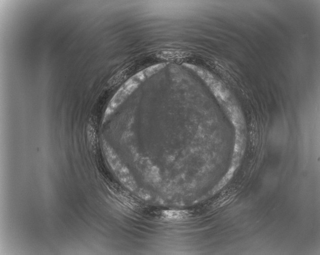 X0000056000371200509162324