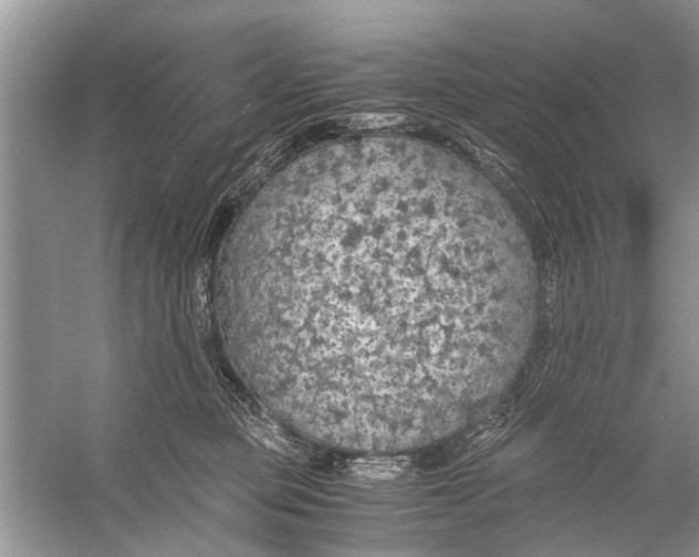 X0000056000373200509162324