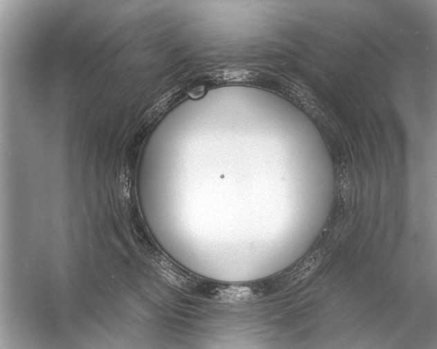 X0000056000374200509162324