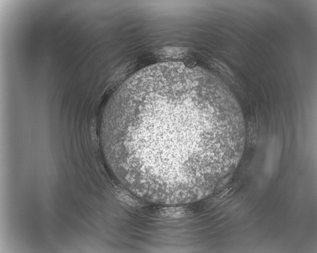 X0000056000377200509162324