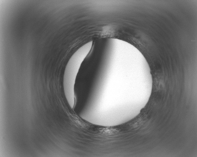 X0000056000379200509162324