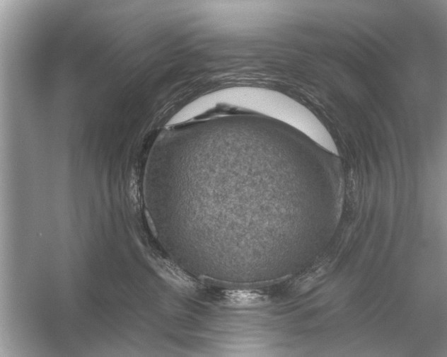 X0000056000380200509162324