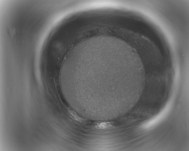 X0000056000382200509162324