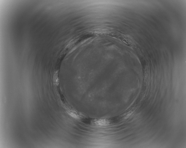 X0000056000383200509162324