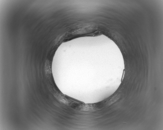 X0000056000384200509162324