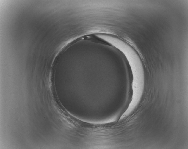 X0000056000387200509162323