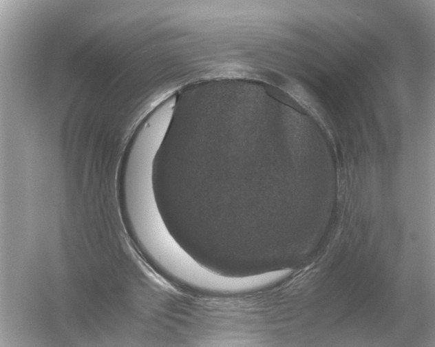 X0000056000389200509162323