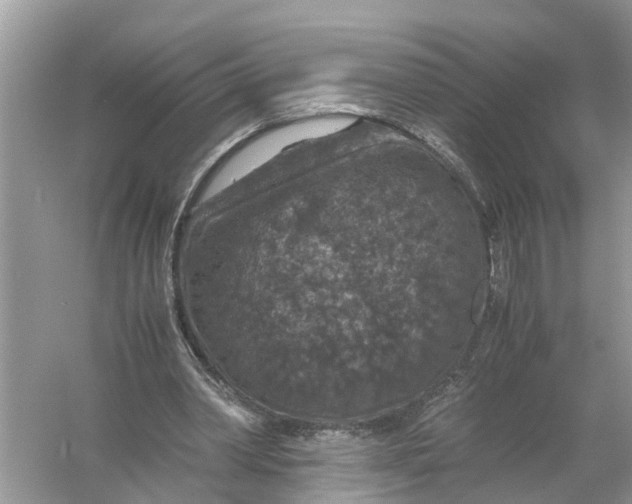 X0000056000390200509162323