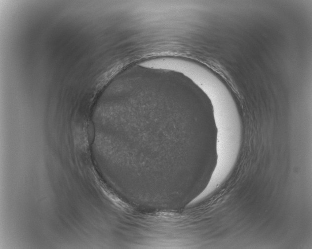 X0000056000393200509162323