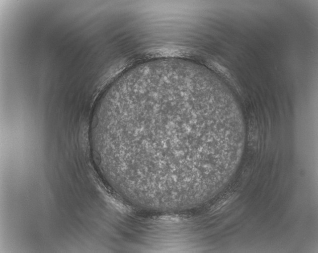 X0000056000394200509162323