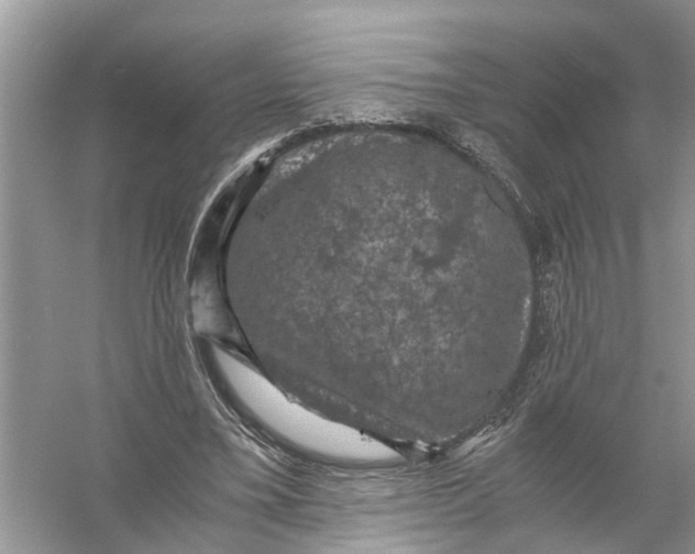 X0000056000395200509162323