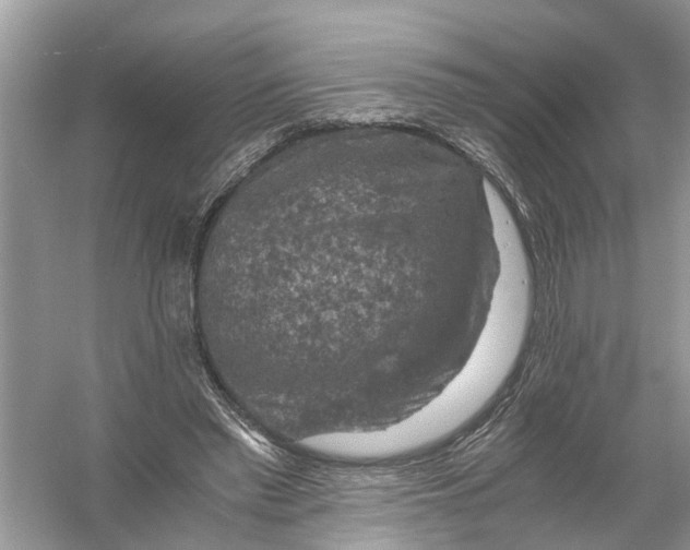 X0000056000397200509162323