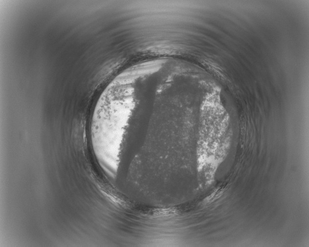 X0000056000398200509162323