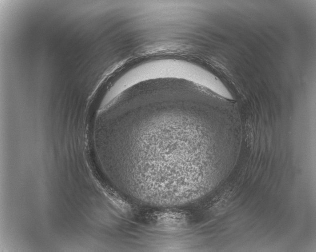 X0000056000400200509162323